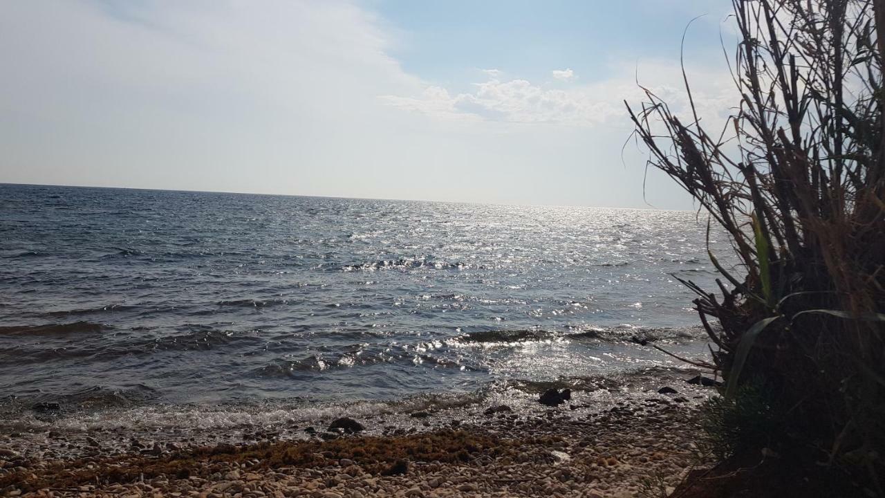 The Village Novigrad Istria Exterior foto
